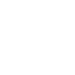 Artisans Peintres décorateurs lmp. (logo)